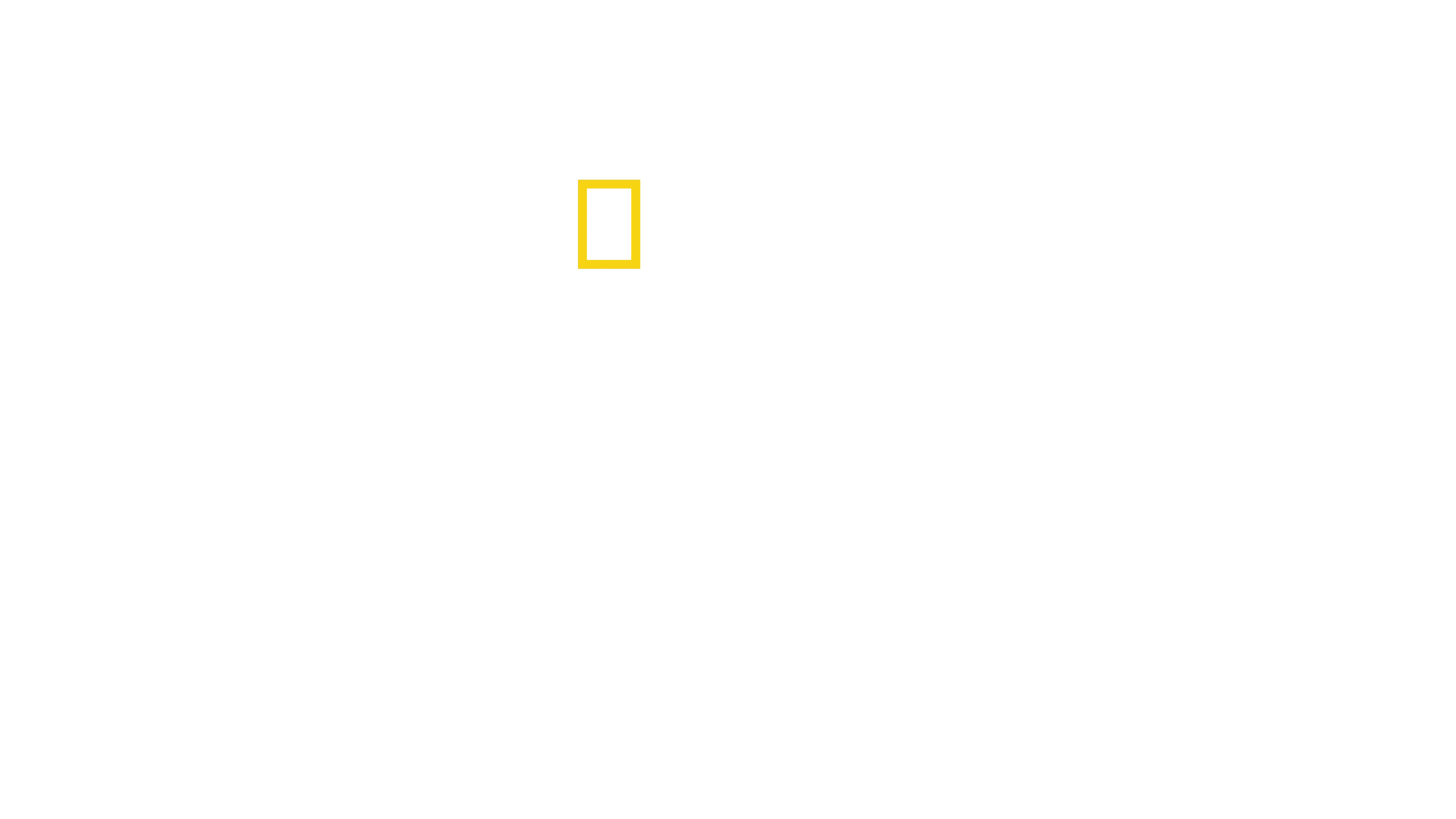 Sekretne życie ośmiornic