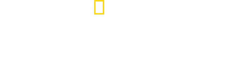 Sekretne życie ośmiornic