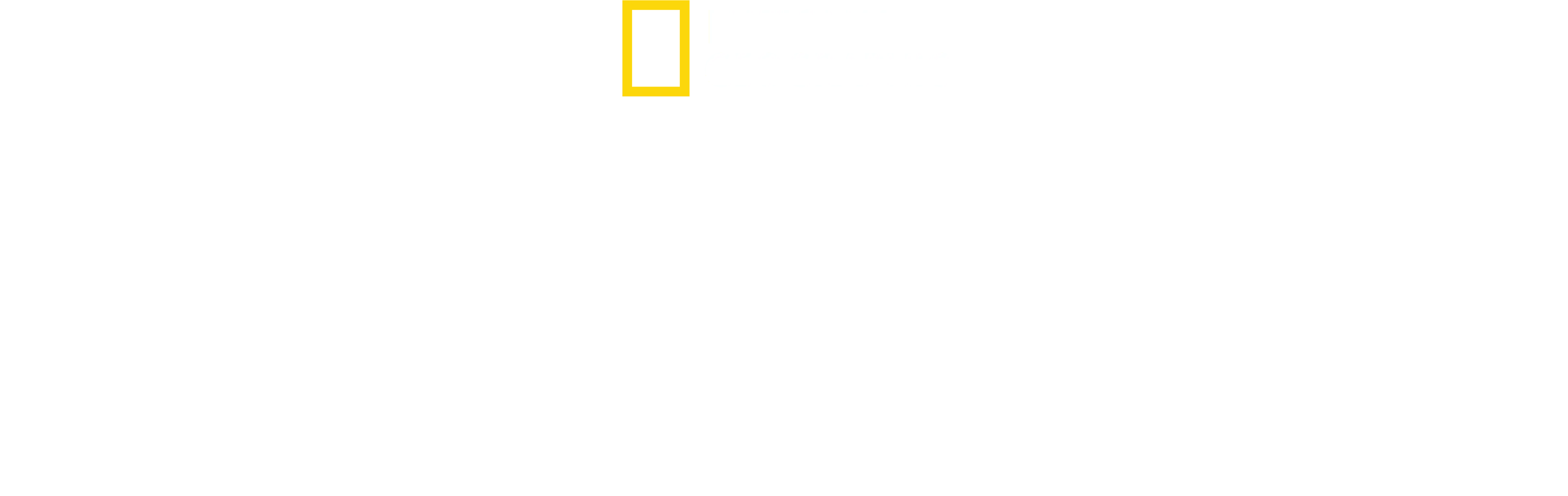 Sekretne życie ośmiornic