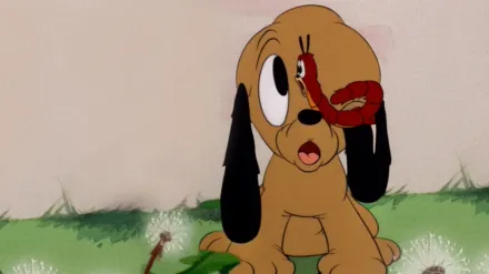 Pluto, Junior
