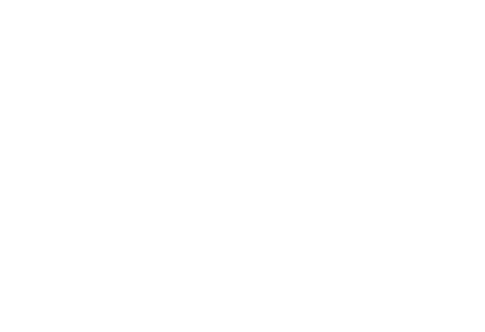 梅艷芳（導演版）