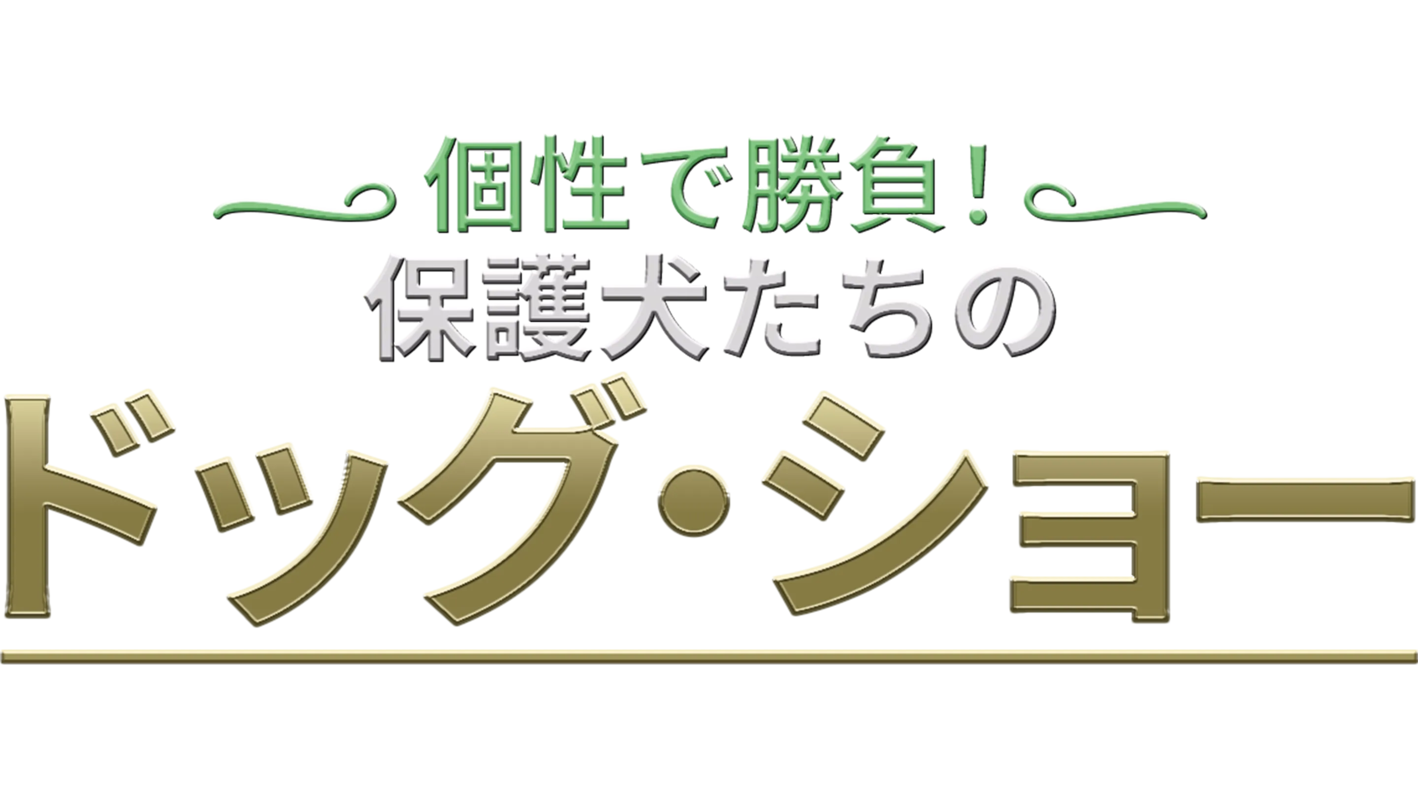 個性で勝負！保護犬たちのドッグ・ショー