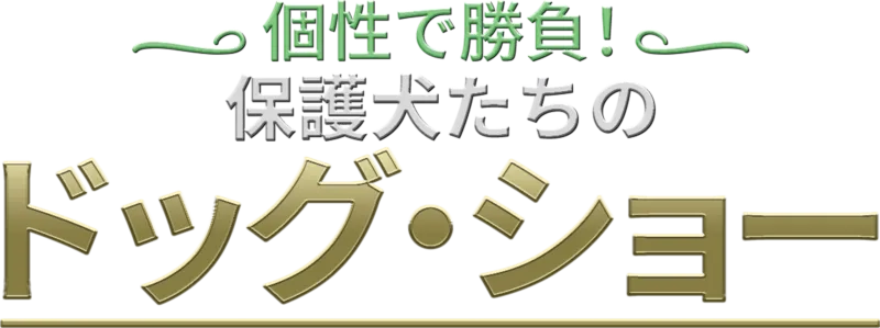 個性で勝負！保護犬たちのドッグ・ショー