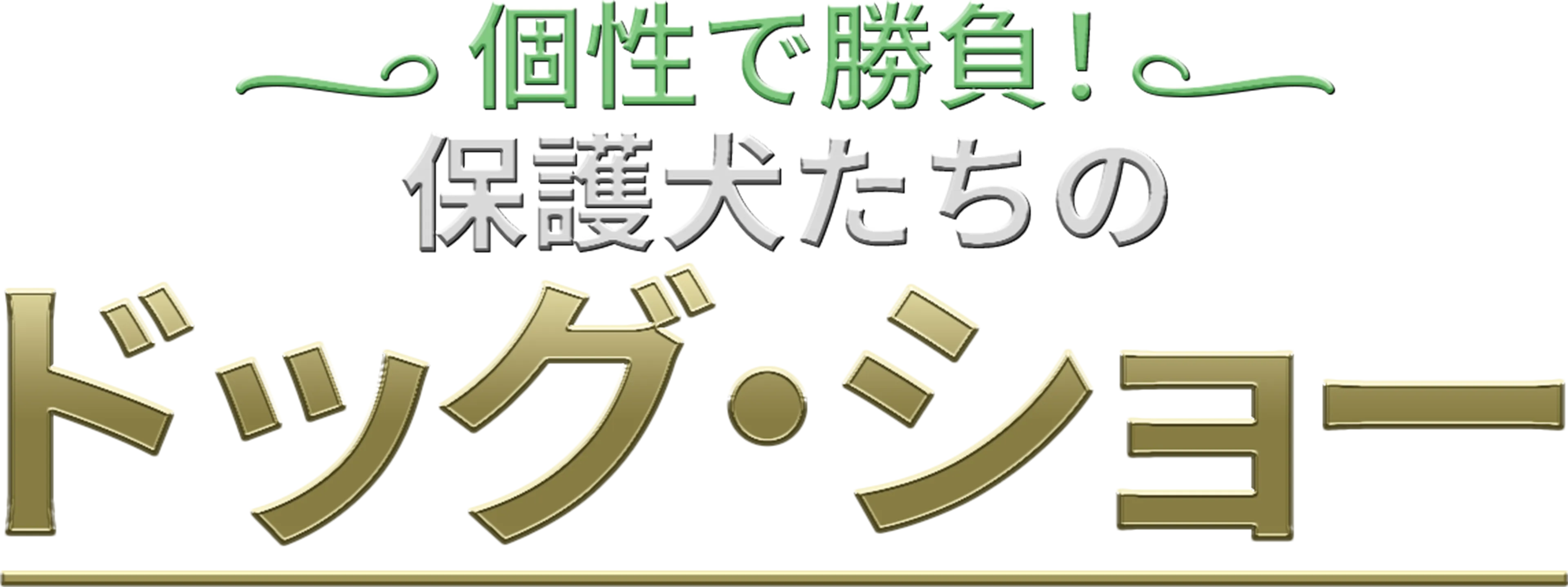個性で勝負！保護犬たちのドッグ・ショー