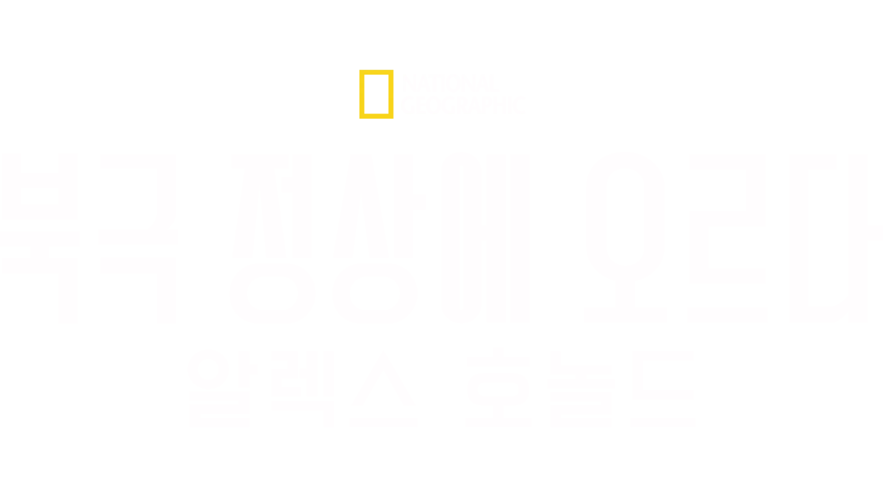 북극 정상에 오르다: 알렉스 호놀드