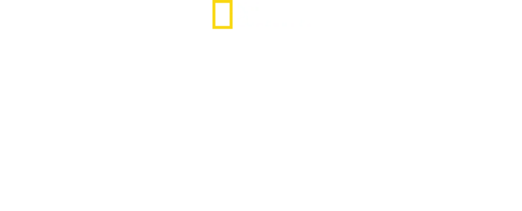북극 정상에 오르다: 알렉스 호놀드
