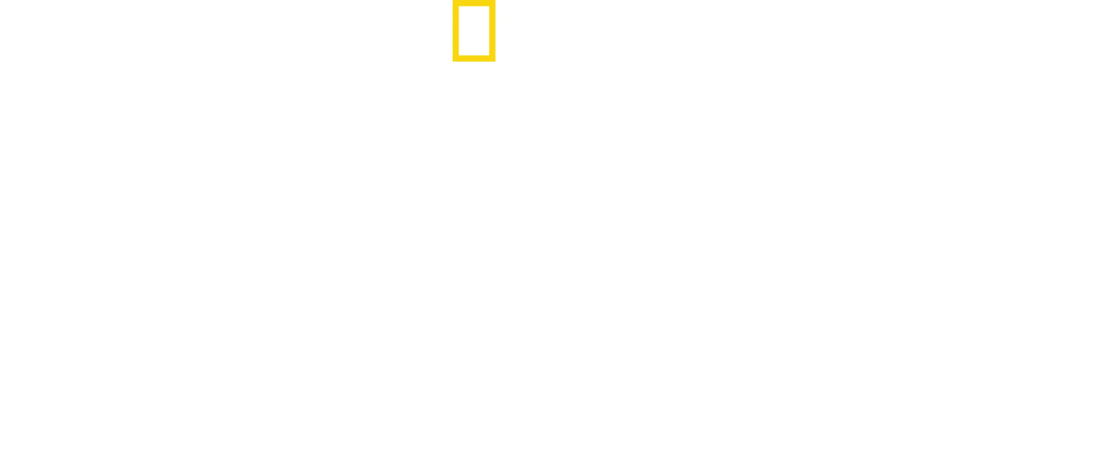 북극 정상에 오르다: 알렉스 호놀드