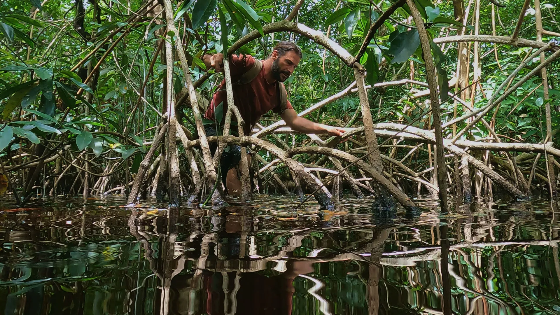 thumbnail - S1:E5 Mangrove Maze