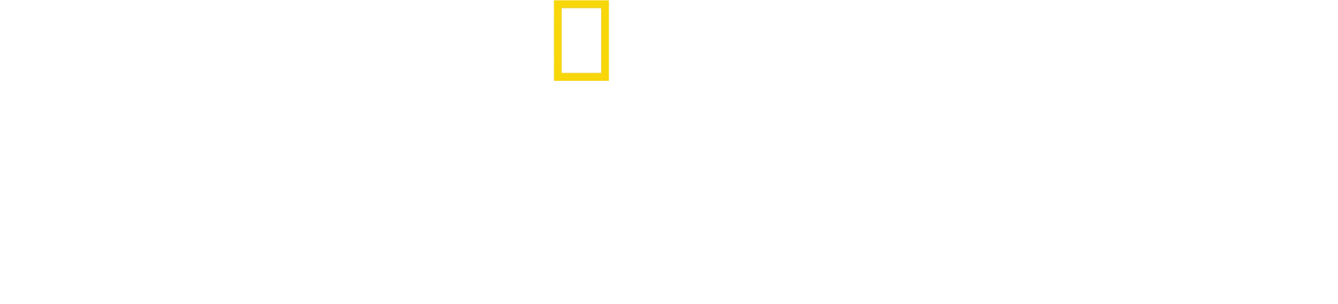 美国国旗制造者