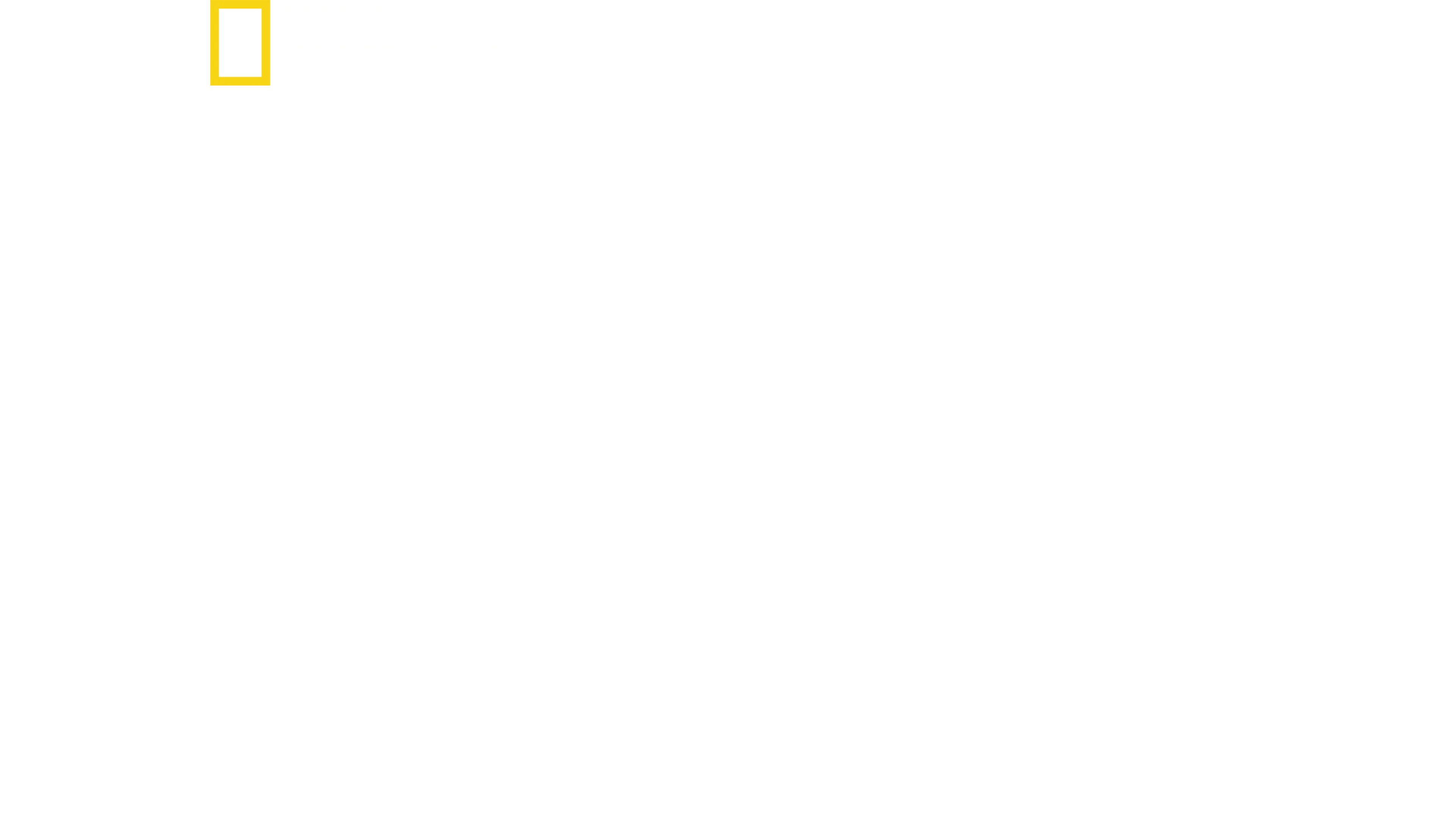 世界最危險的鯊魚？