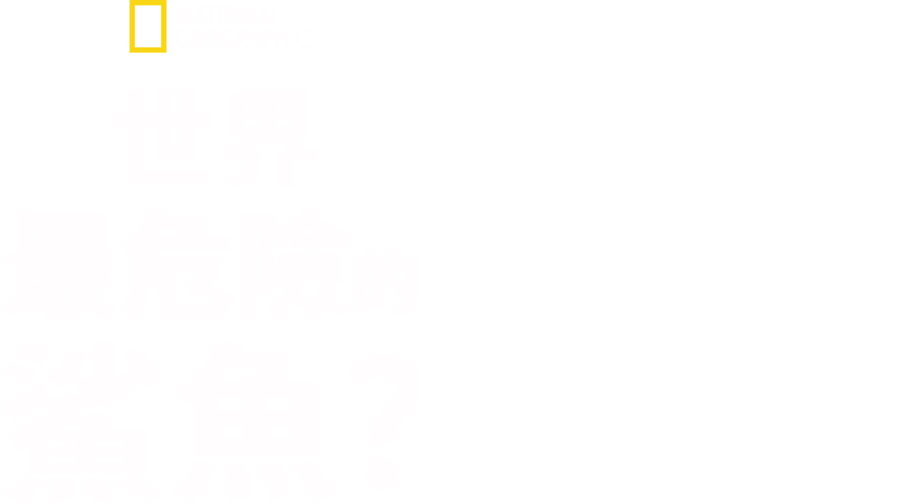 世界最危險的鯊魚？