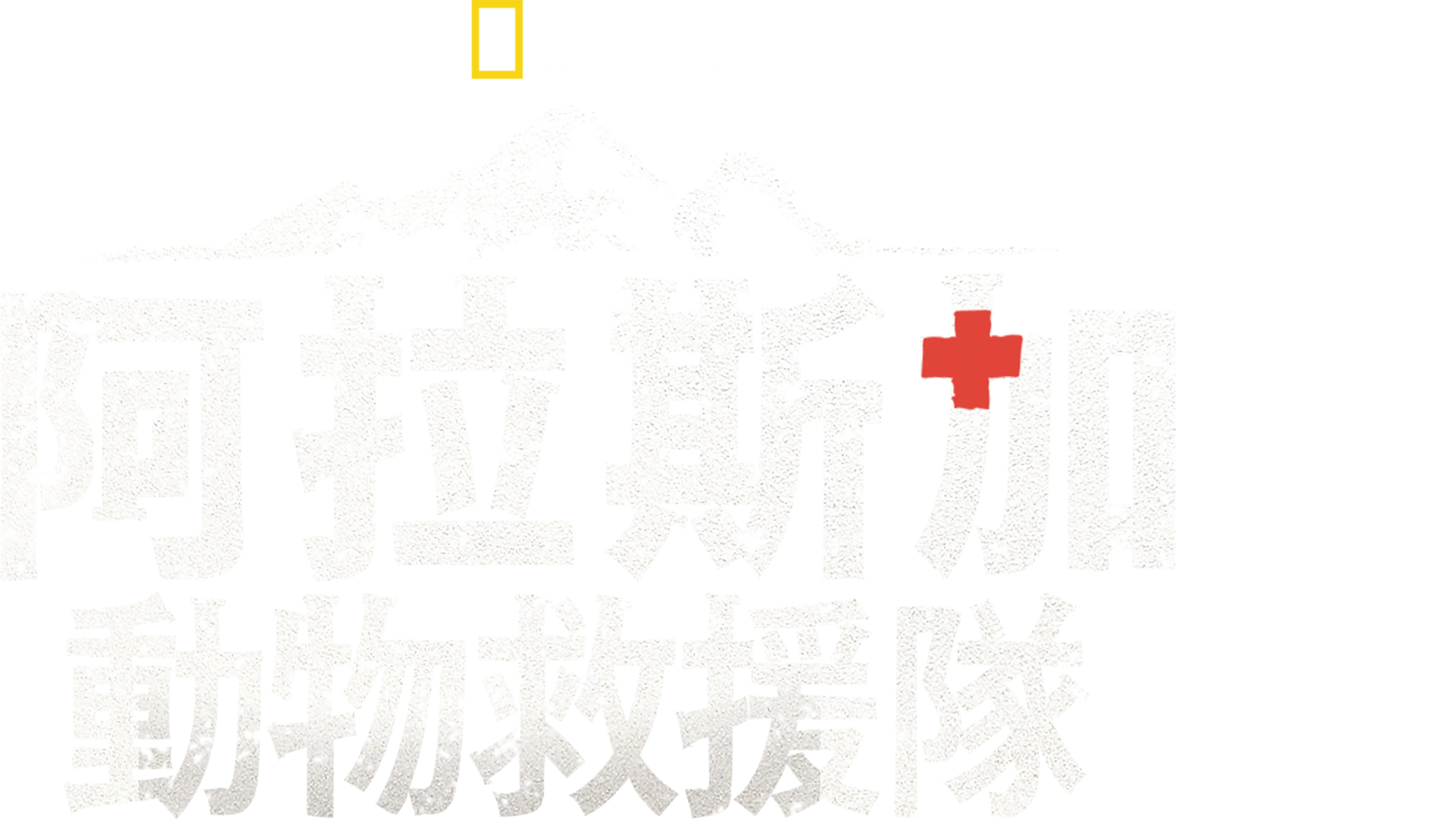 阿拉斯加動物救援隊
