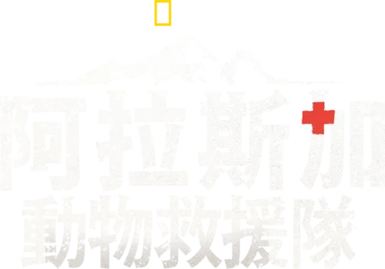 阿拉斯加動物救援隊