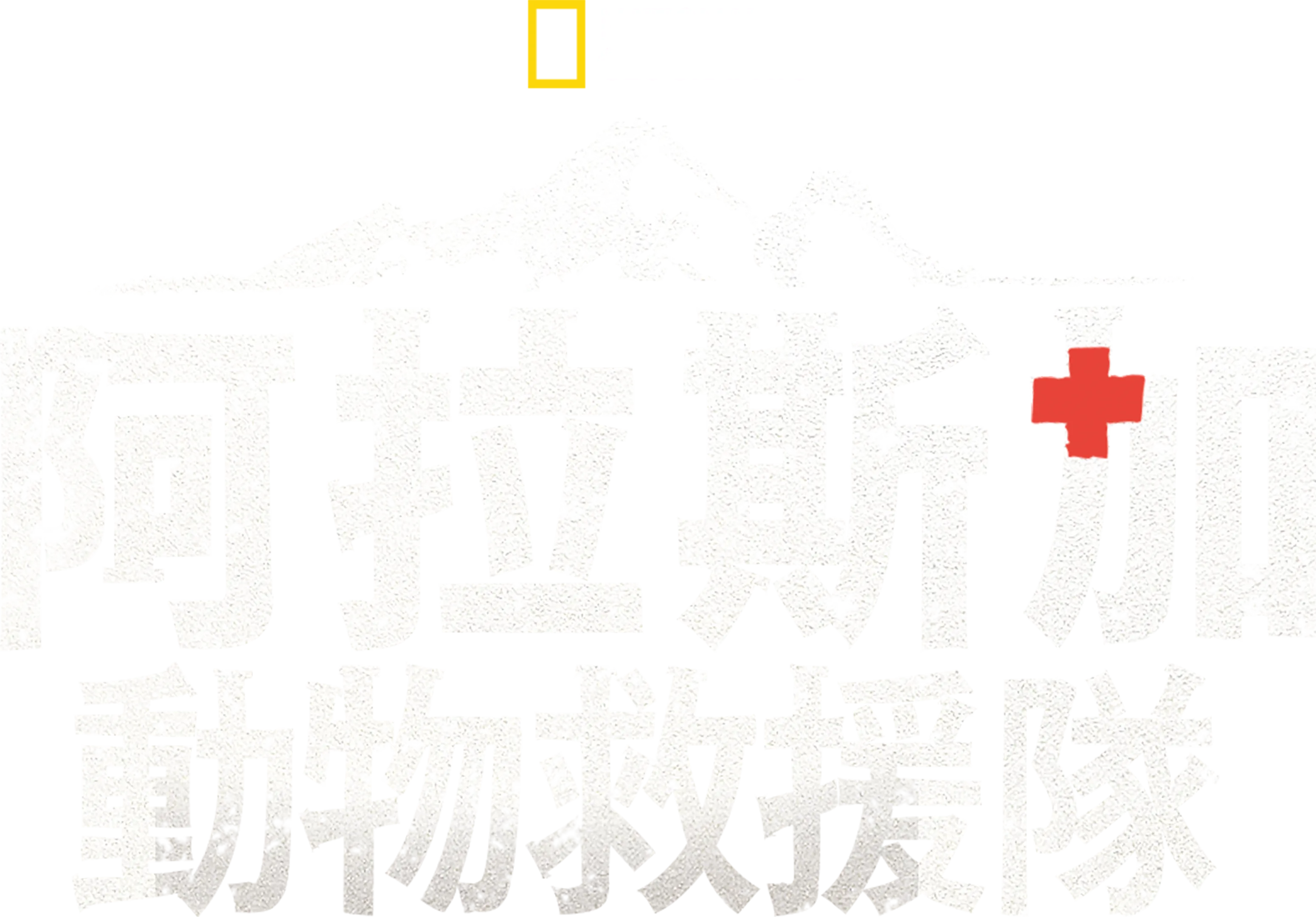 阿拉斯加動物救援隊