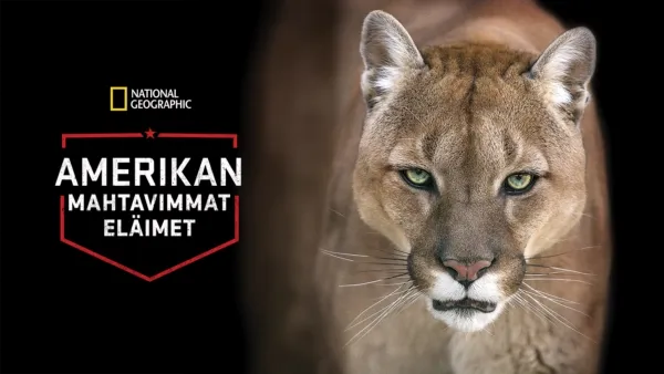 thumbnail - Amerikan mahtavimmat eläimet