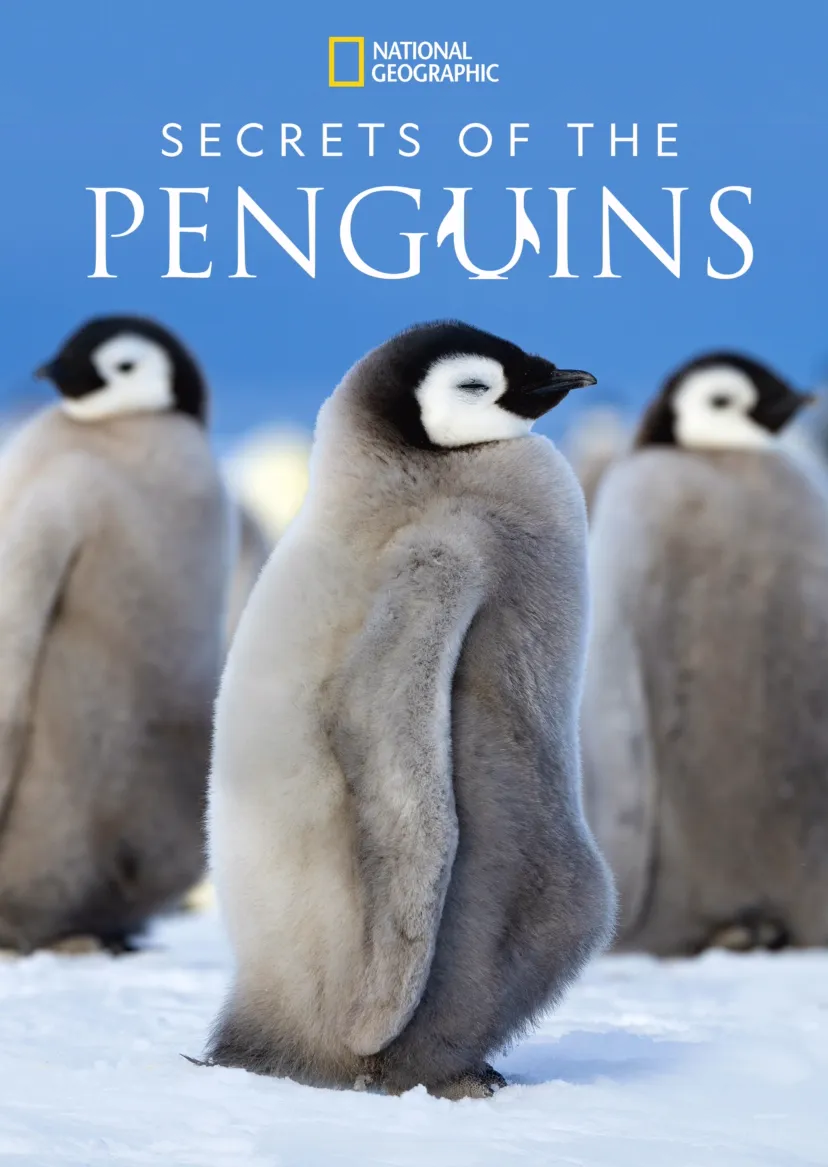 Secrets of the Penguins