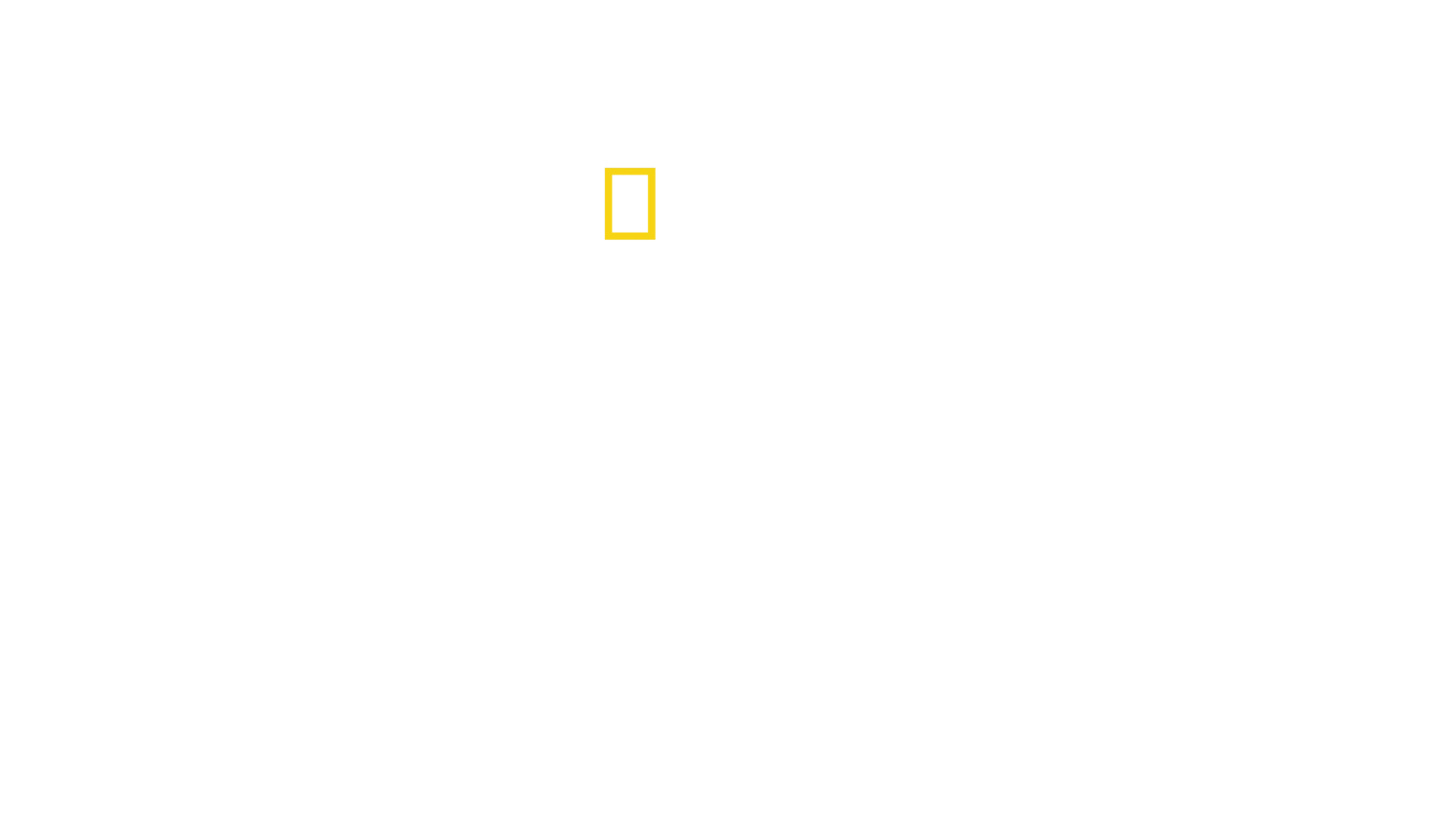 Rechinii din insulele Pitcairn