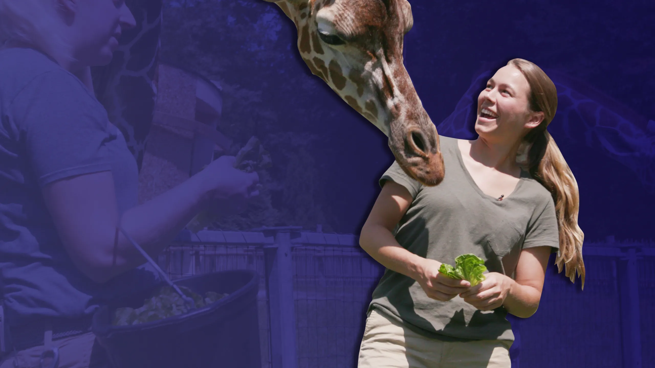 Sam's Zookeeper Challenge