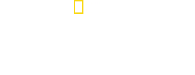 Kochen ohne Grenzen: World Central Kitchen