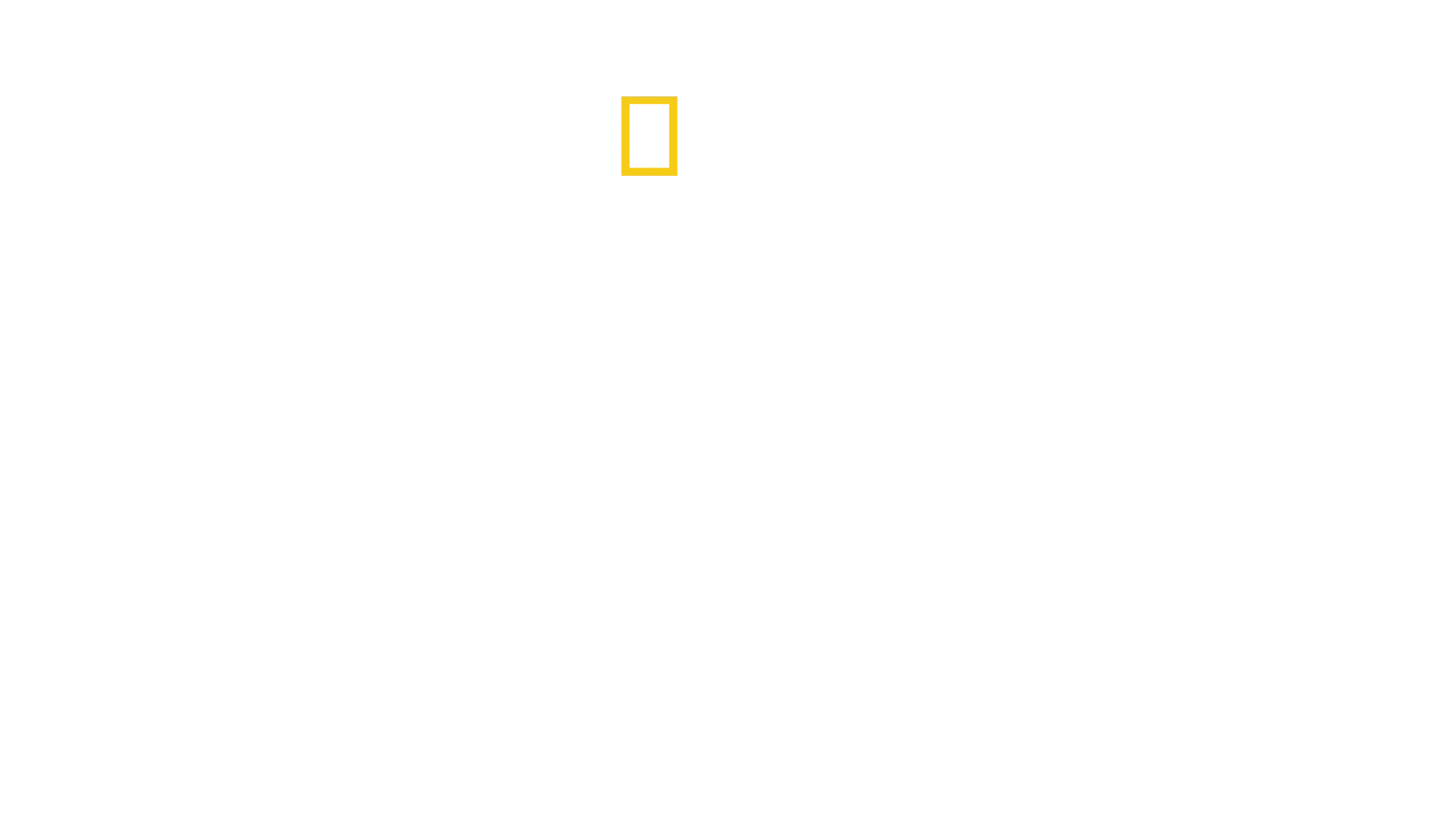 ブリンク～美しき世界の記憶を
