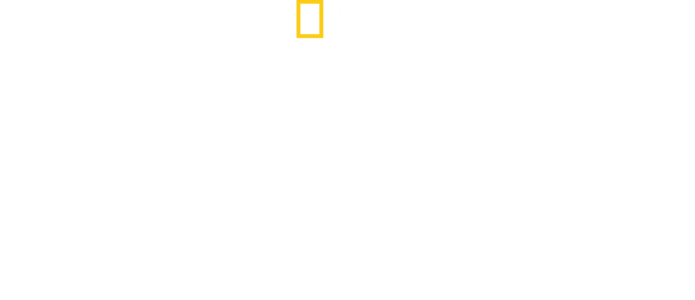 ブリンク～美しき世界の記憶を