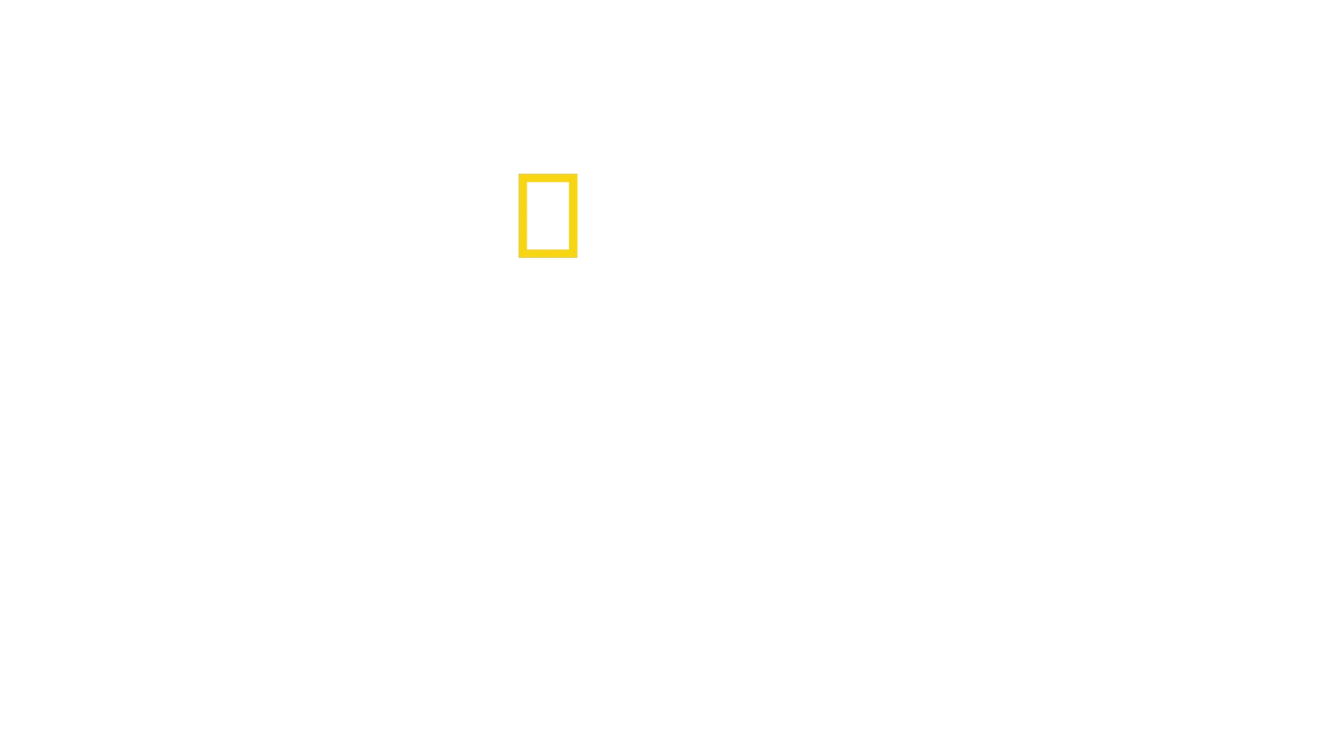 Antoni Porowski ile Köklerin İzinde