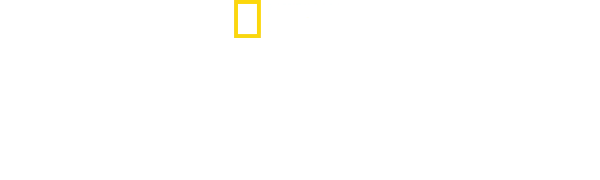 Antoni Porowski ile Köklerin İzinde