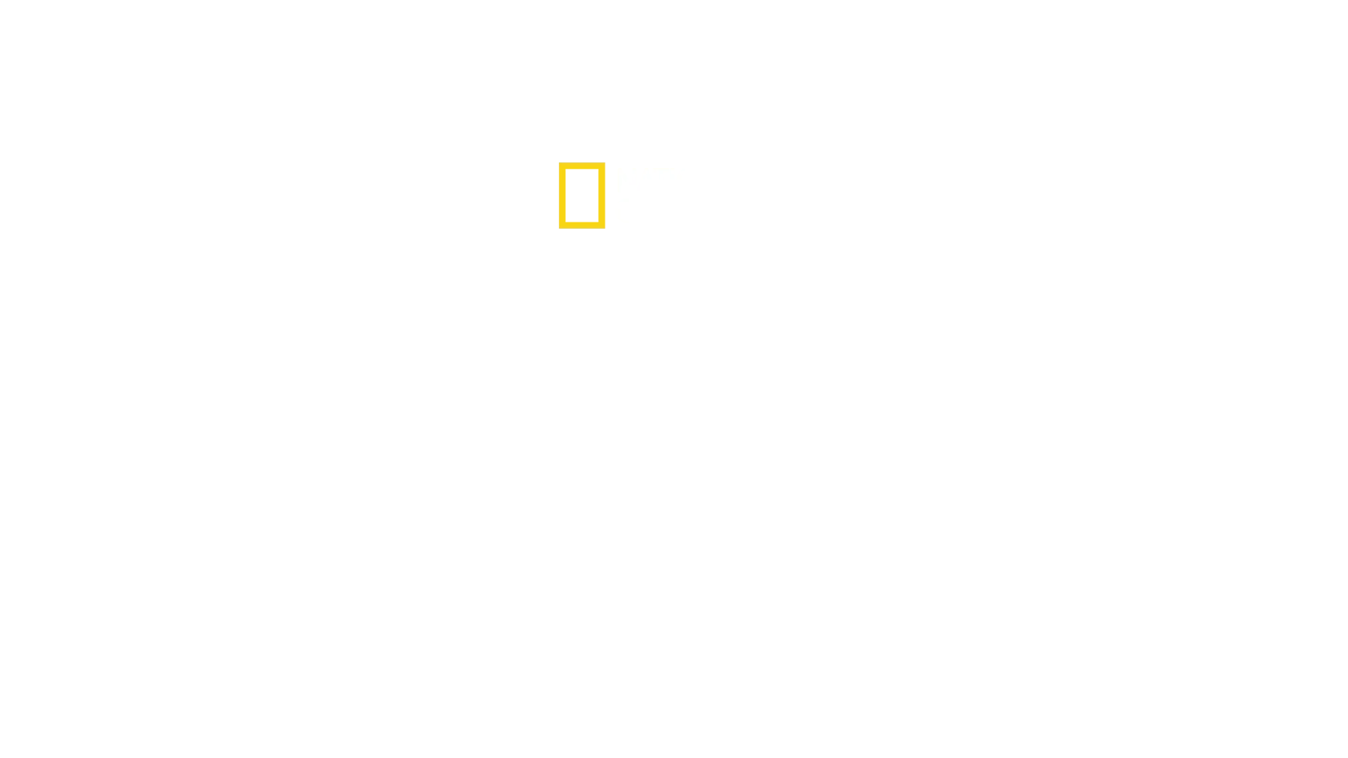 The Hidden Holocaust