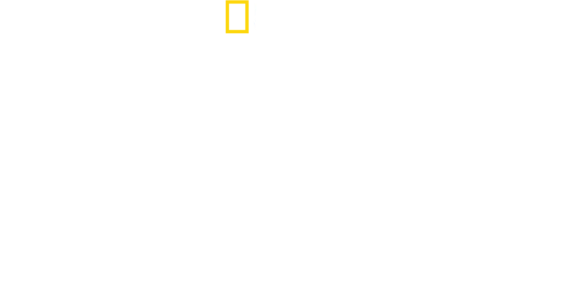 Fabriken der Superlative