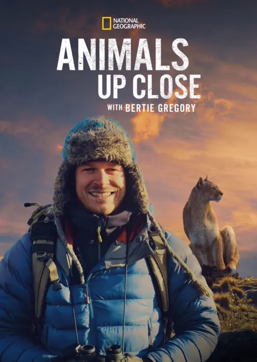 Animals Up Close with Bertie Gregory