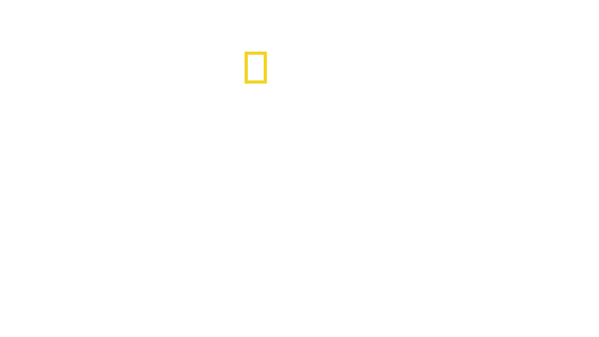 David Blaine: Nicht nachmachen!