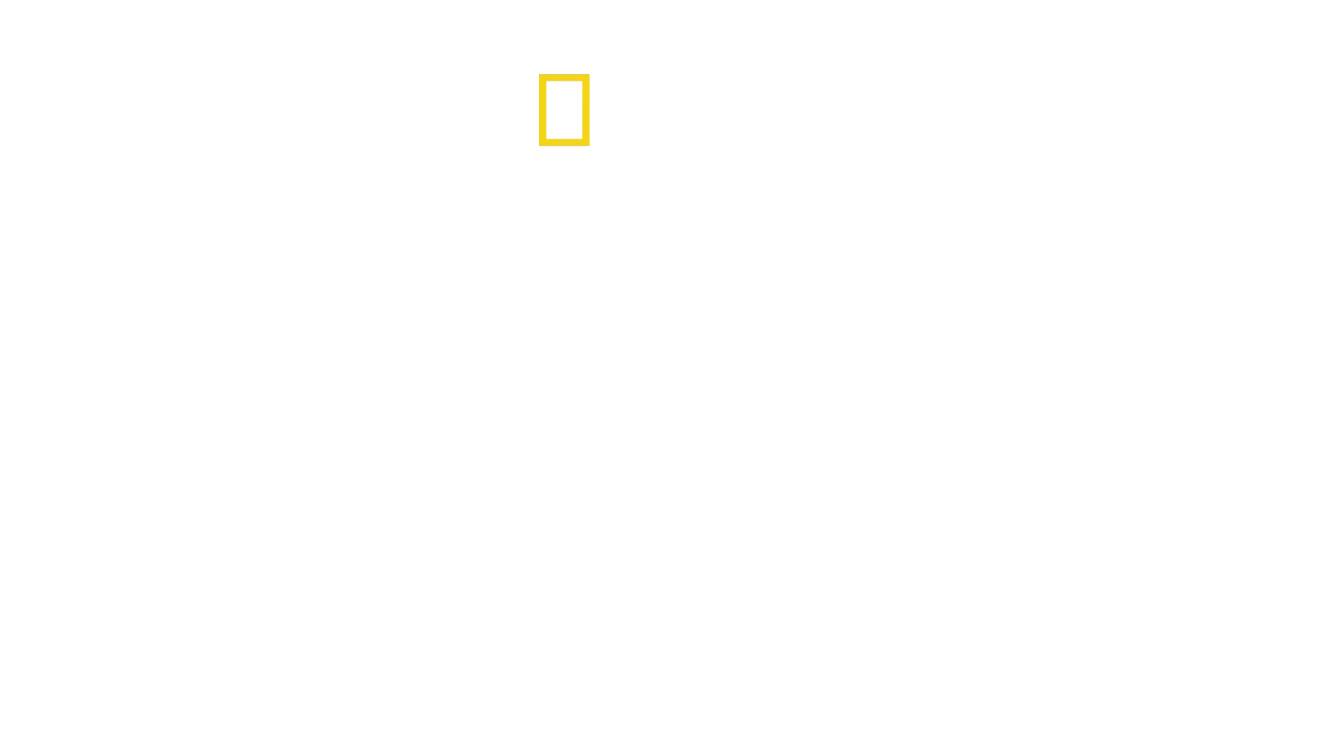 King Tut in Color