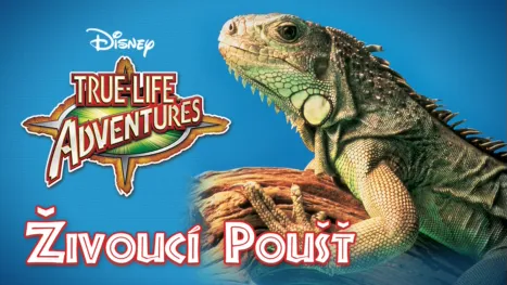 thumbnail - Živoucí poušť