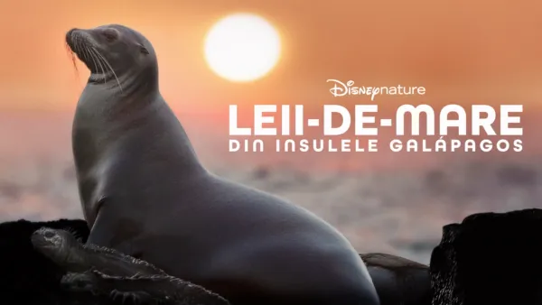 thumbnail - Leii-de-mare din Insulele Galápagos