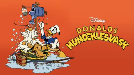 thumbnail - Donalds hundevask