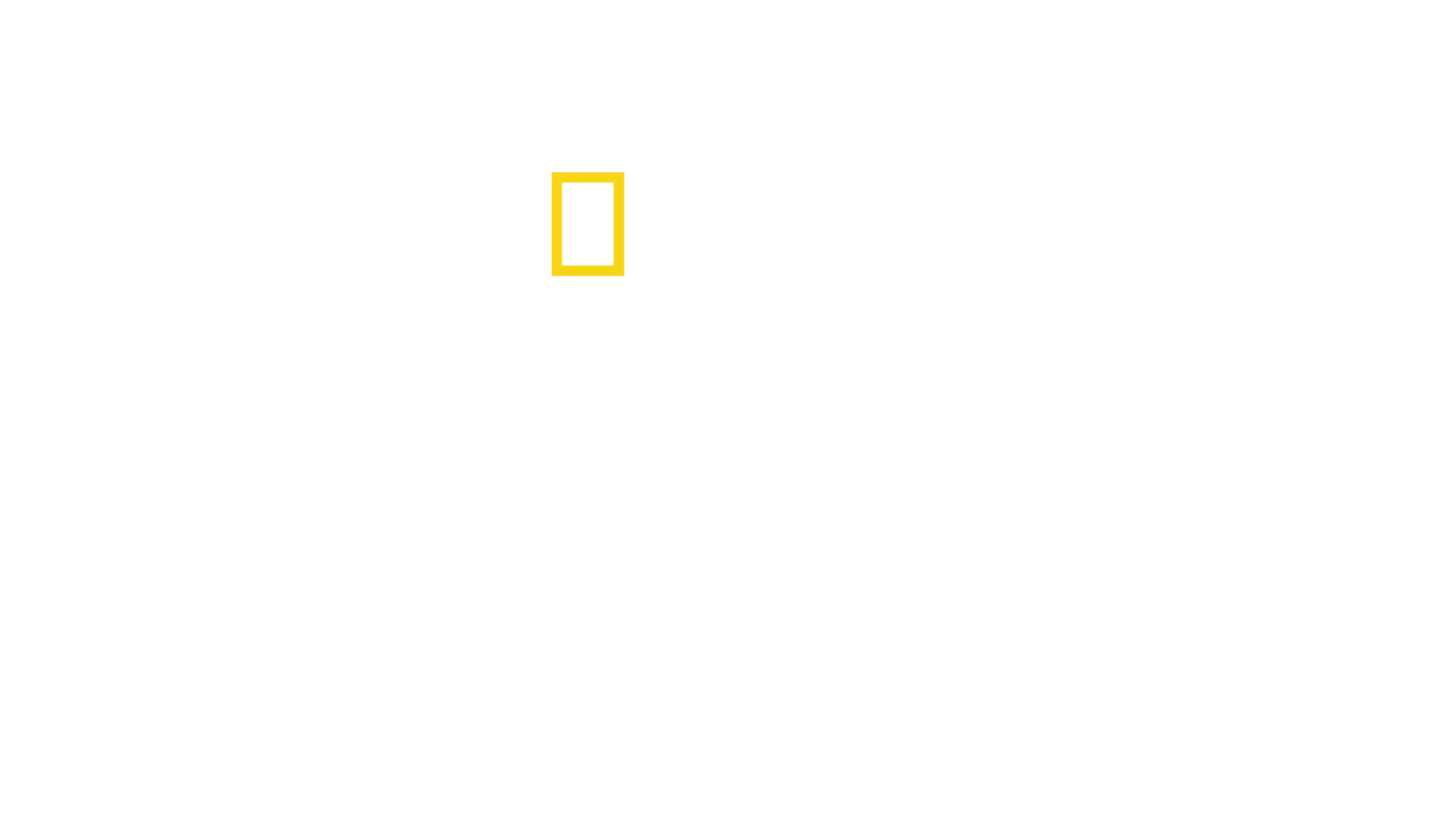 Martor la dezastru