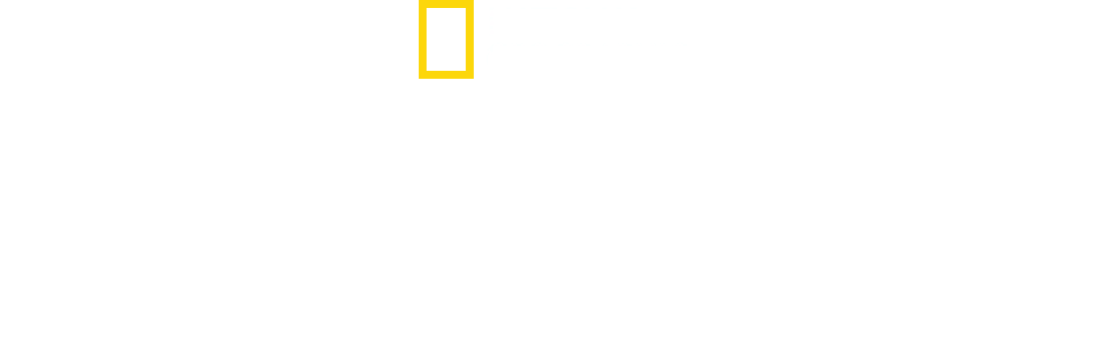 Martor la dezastru
