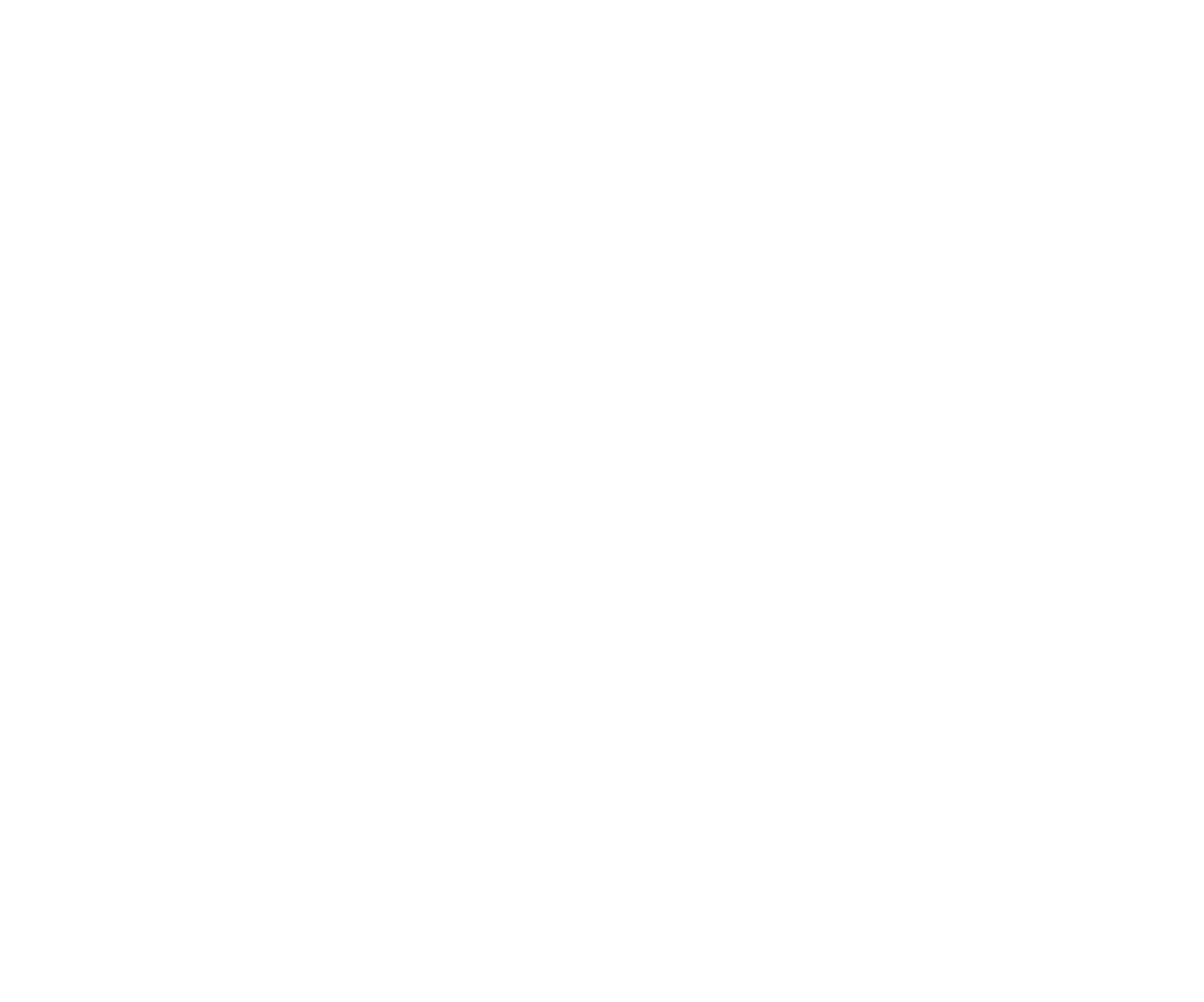 Minți criminale: Dincolo de hotare