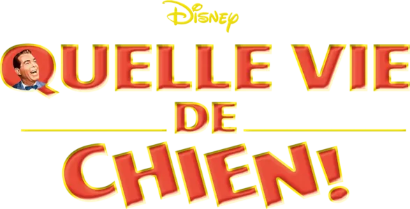 Quelle vie de chien
