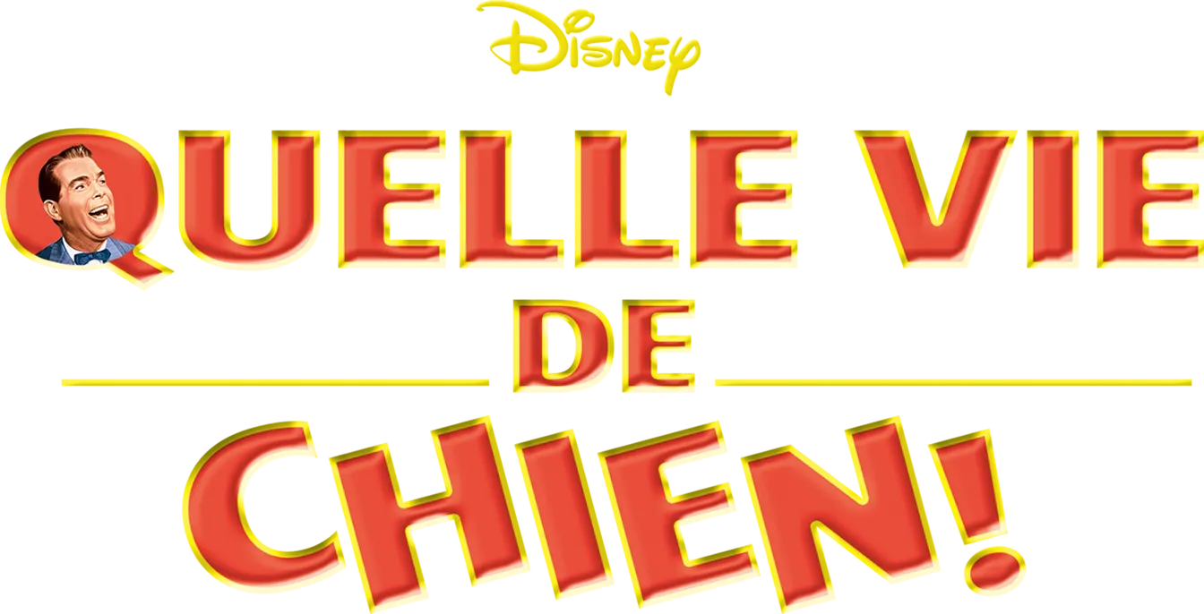 Quelle vie de chien