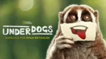 thumbnail - Underdogs