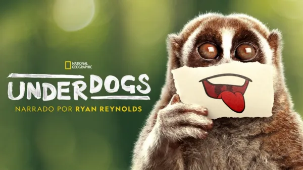 thumbnail - Underdogs
