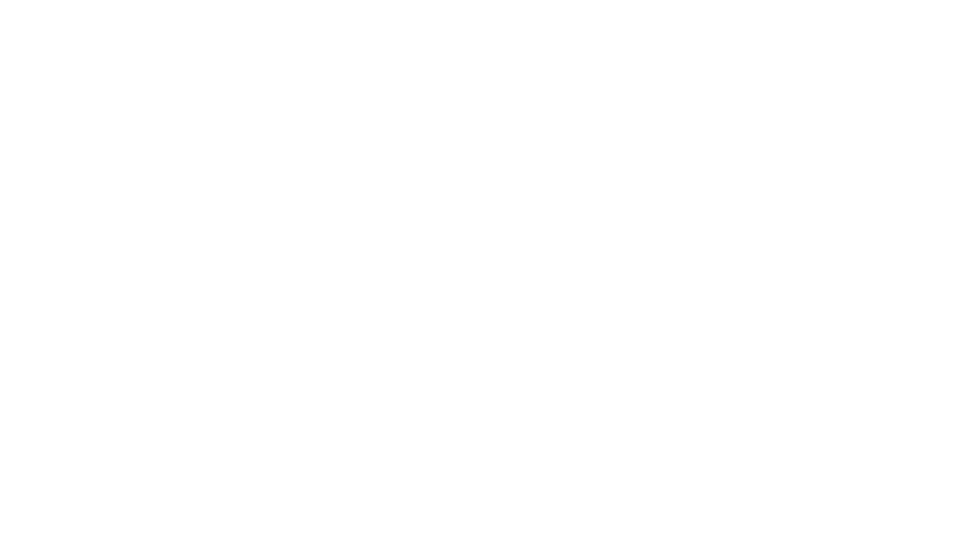 The Mandalorian