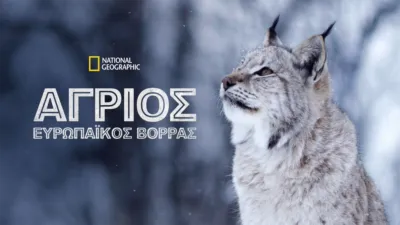 thumbnail - Άγριος Ευρωπαϊκός Βορράς