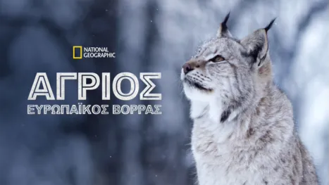 thumbnail - Άγριος Ευρωπαϊκός Βορράς