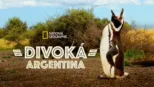 thumbnail - Divoká Argentina