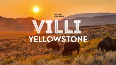 Villi Yellowstone
