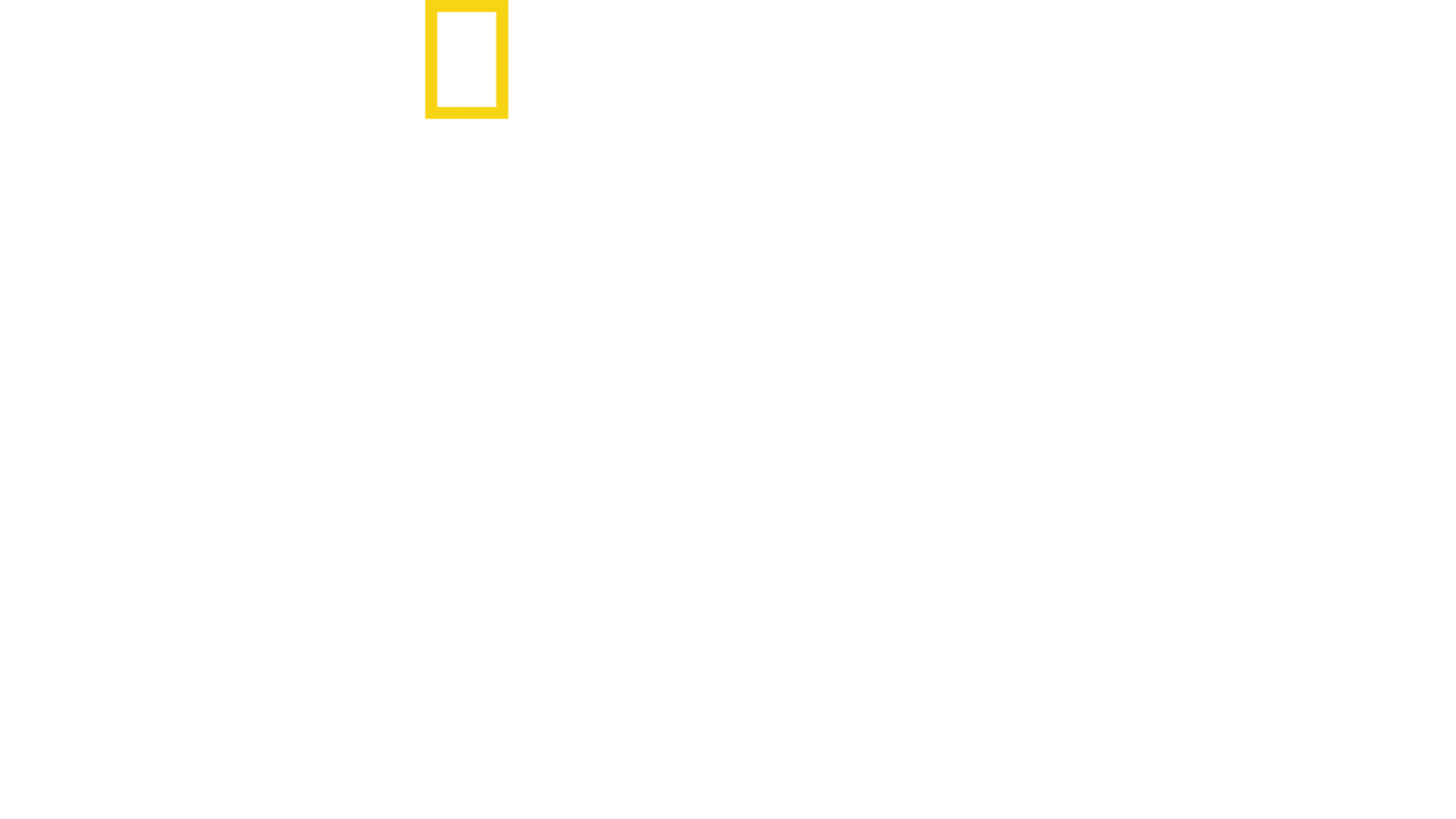 Normandiya Tanıkları
