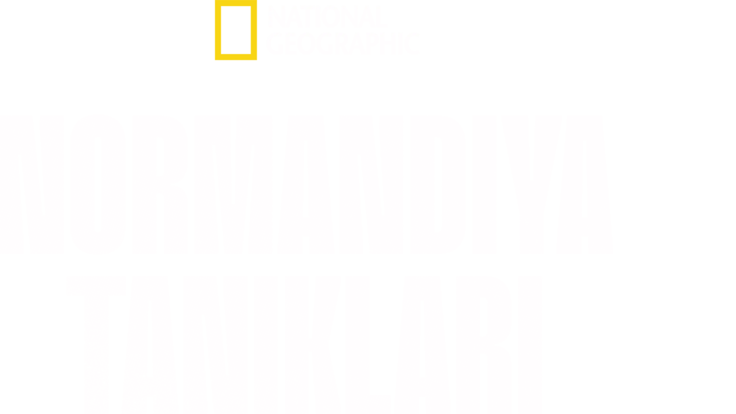 Normandiya Tanıkları