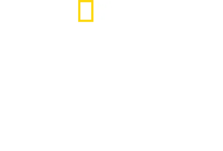 Normandiya Tanıkları